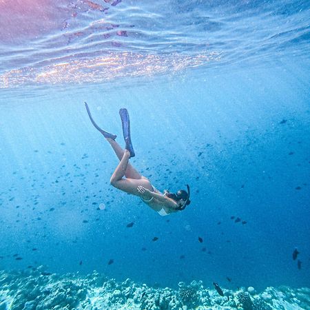 Green Leaf Guest House - Omadhoo エクステリア 写真