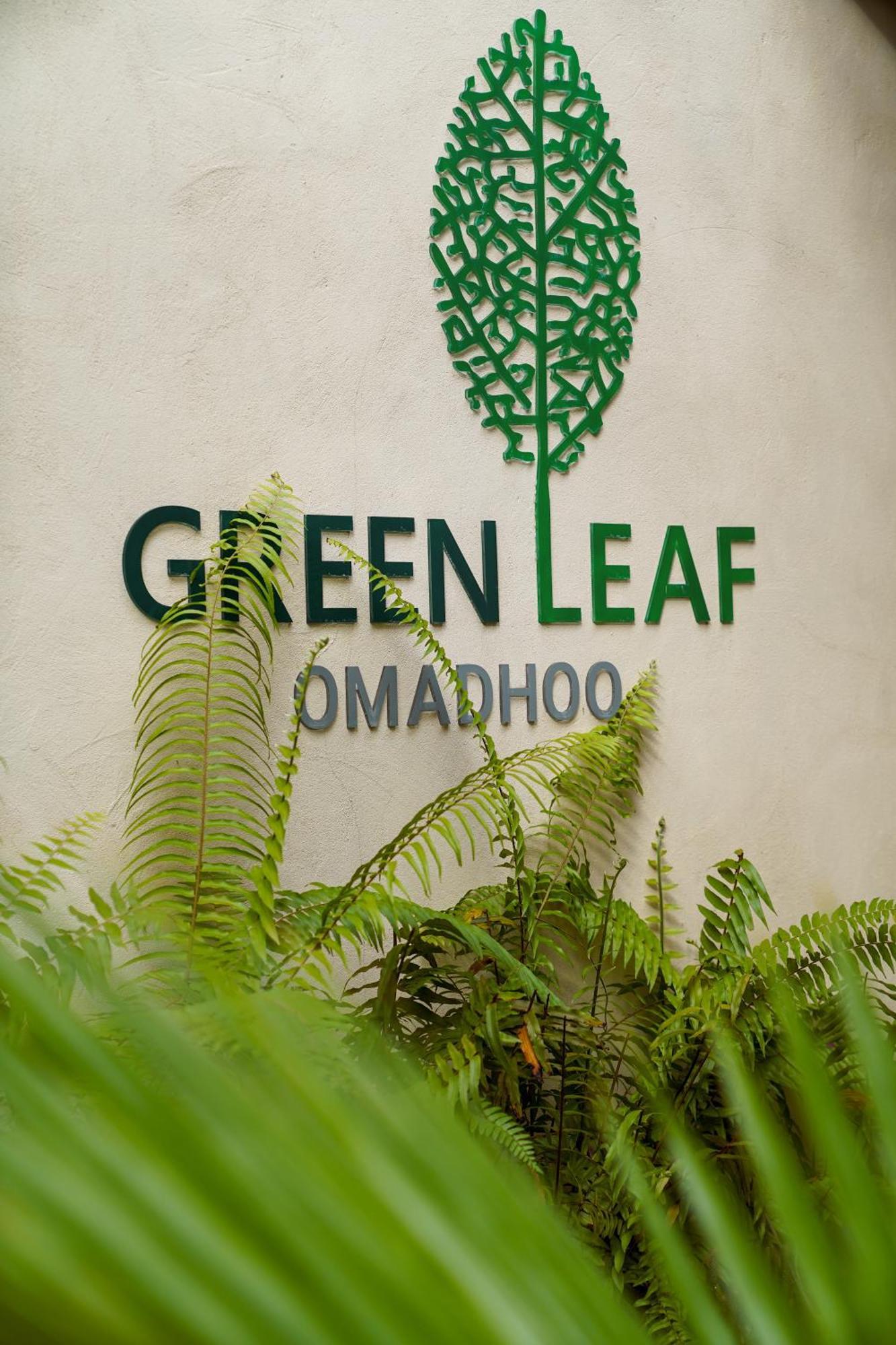 Green Leaf Guest House - Omadhoo エクステリア 写真